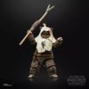 "Figura de acción de Paploo Star Wars 40º aniversario - Edición especial de colección Ewok."