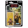 Figura de acción Wicket Star Wars 40th Anniversary | Ewok Black Series edición coleccionista – Cats&Dragons